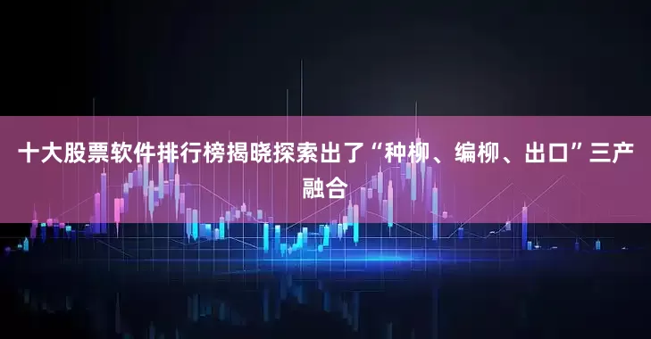 十大股票软件排行榜揭晓探索出了“种柳、编柳、出口”三产融合