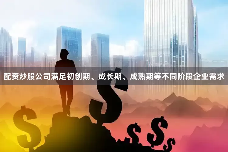 配资炒股公司满足初创期、成长期、成熟期等不同阶段企业需求