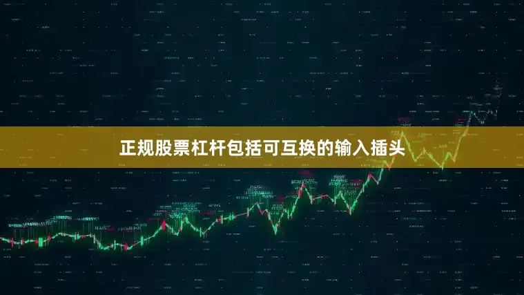 正规股票杠杆包括可互换的输入插头