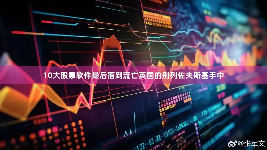 10大股票软件最后落到流亡英国的别列佐夫斯基手中