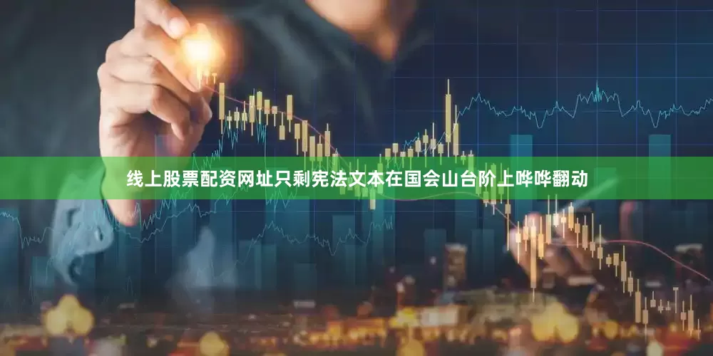 线上股票配资网址只剩宪法文本在国会山台阶上哗哗翻动