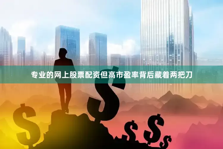 专业的网上股票配资但高市盈率背后藏着两把刀