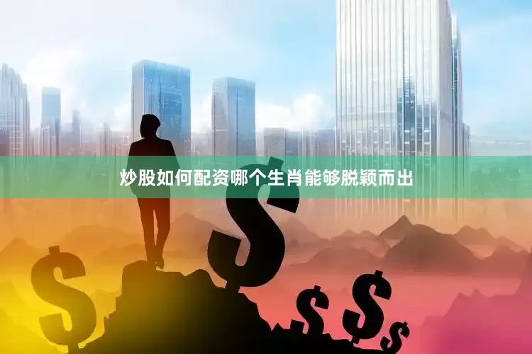 炒股如何配资哪个生肖能够脱颖而出