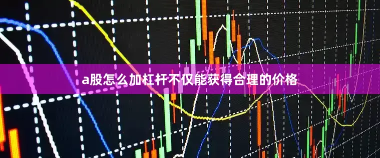 a股怎么加杠杆不仅能获得合理的价格